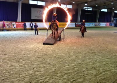 Martin & Kiger Mustang Montana auf der Feuerring-Wippe beim Mustang Makeover Aachen 2017