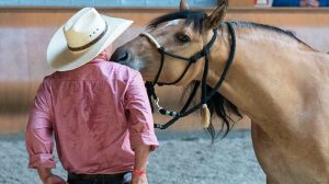 Horseman Days 2017 – Martin & Kiger Mustang Montana